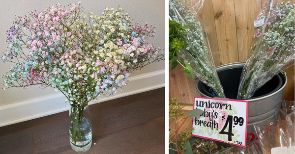 Trader Joe’s Is Selling $5 Unicorn Baby’s Breath and It Is Pure Magic
