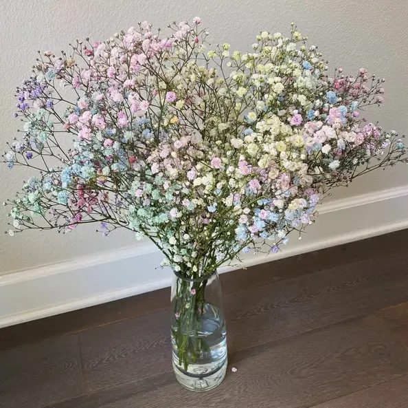 Does Baby's Breath Flowers Smell? - #1 That Flower Shop Online