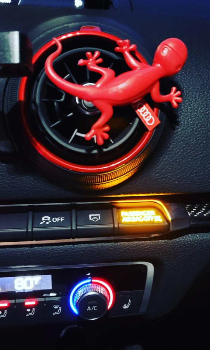 AUDI Gecko Air Freshener - - Rline Premium Collection