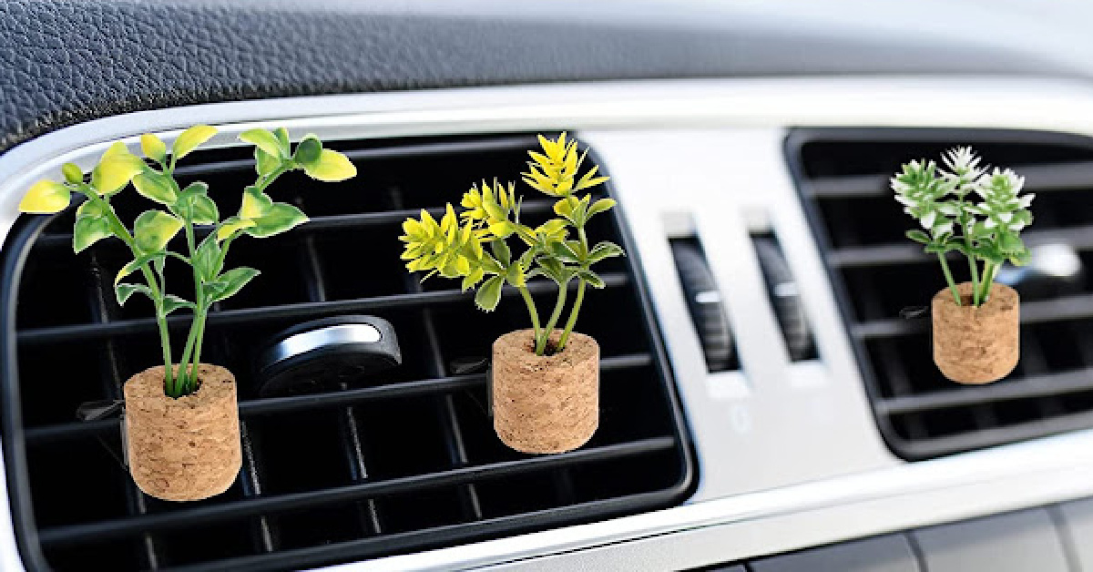 These Little Succulent Plants Are Air Fresheners For Your Car That Attach Right To Your Vents