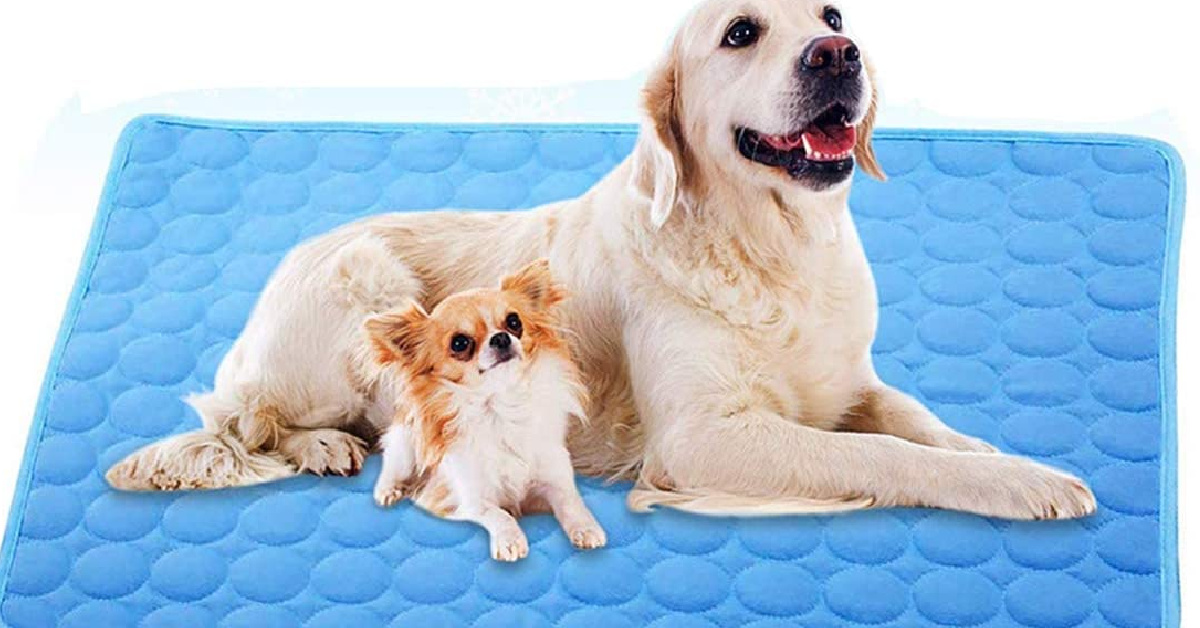 This Cooling Mat Absorbs Heat to Keeps Your Pets Cool During the Summer