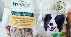 Freshpet Dog Food Has Been Recalled. Here’s What You Need To Know.
