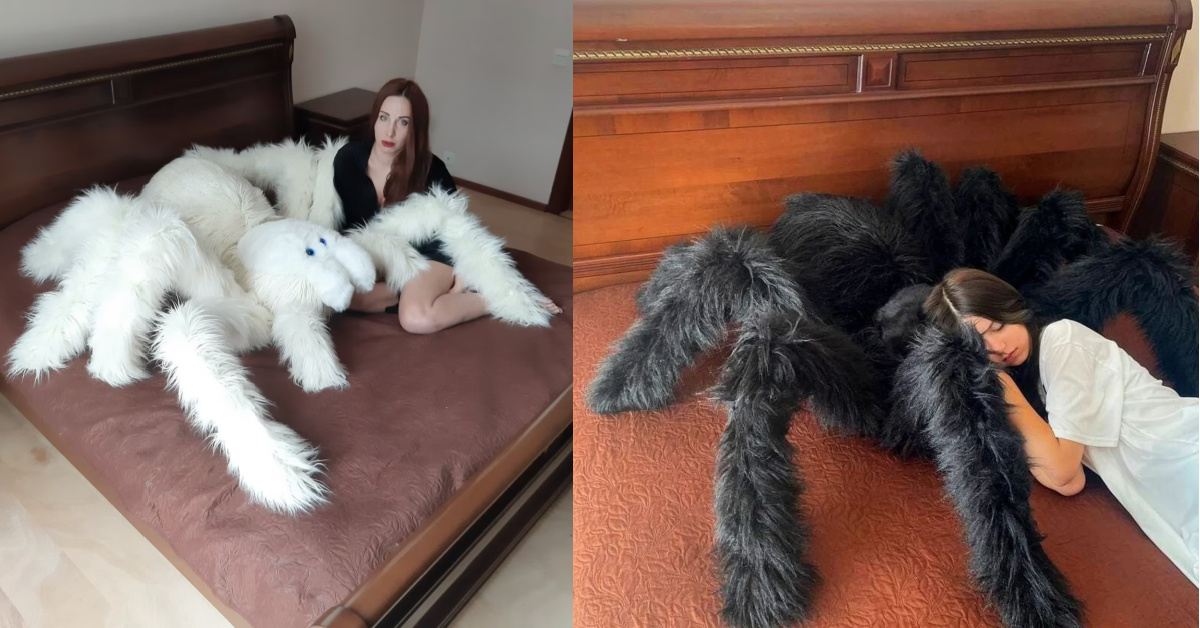 You Can Get A Giant Spider Pillow That is Perfect for Cuddling