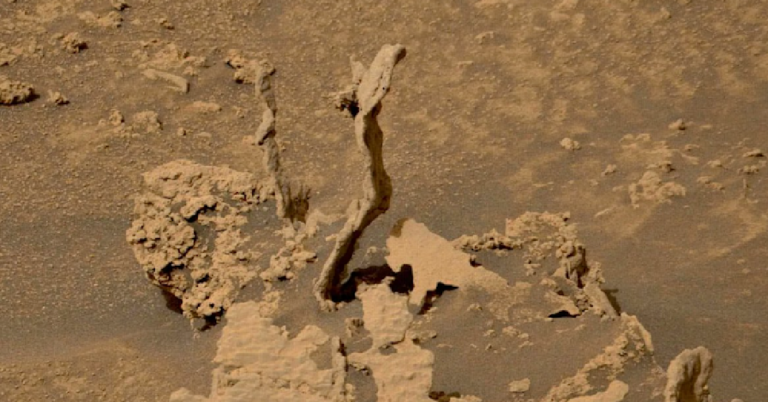 The Mars Rover Has Captured Pictures Of Spiky Formations On Mars and They Are Wicked Cool
