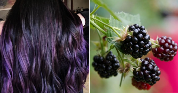 Blackberry Hair Is The Gorgeous New Trend And I’m Jumping On Board