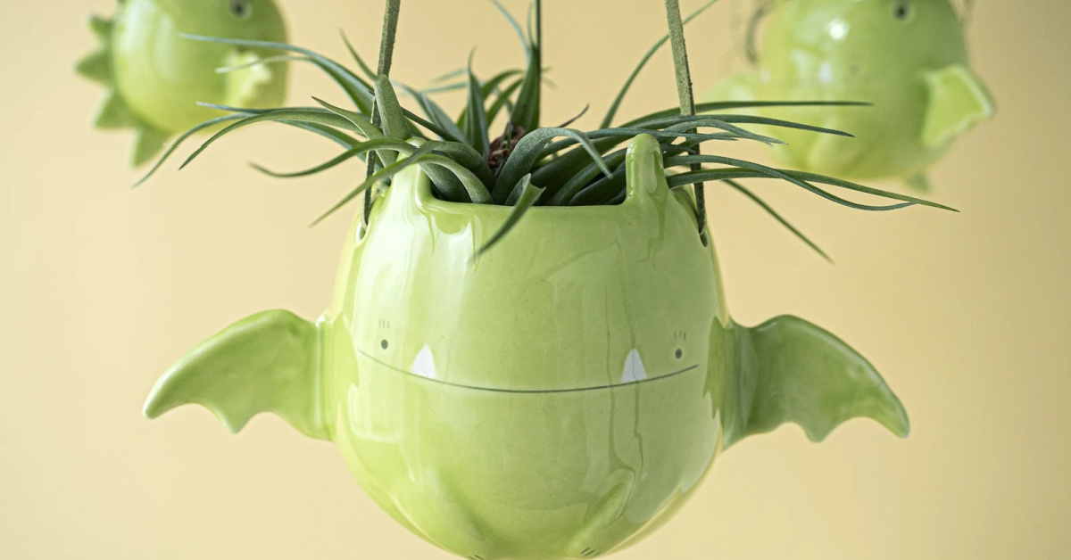 This Ceramic Flying Dragon Succulent Holder Is the Cutest Way to Decorate for Halloween