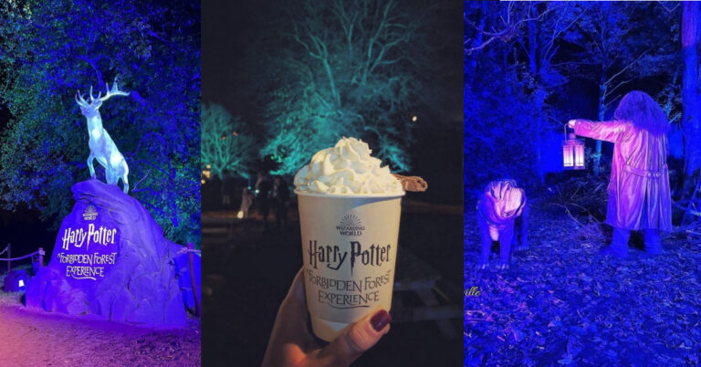 A Harry Potter Forbidden Forest Experience is Coming Just in Time for Halloween