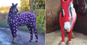 Horse Onesies Are A Thing And I Think I Love Them