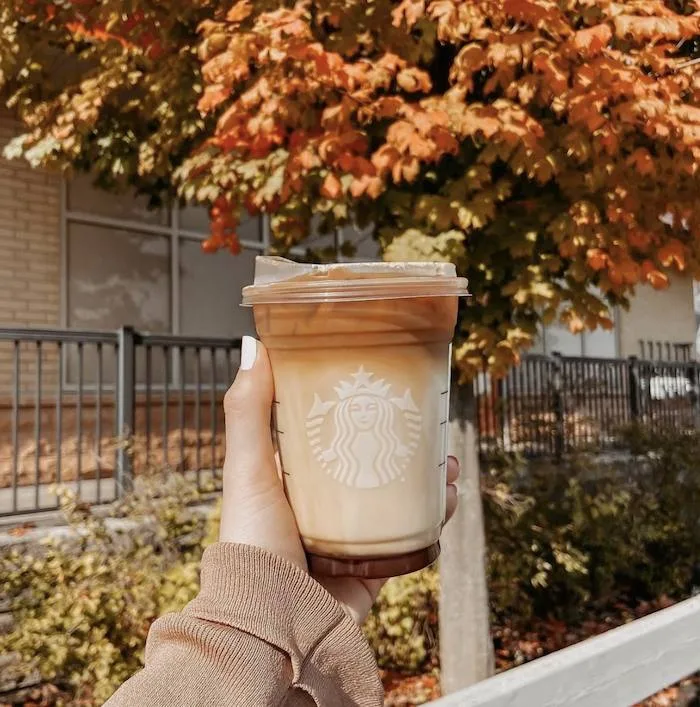 The Starbucks Fall Menu Is Coming Including A New Owl Cake Pop