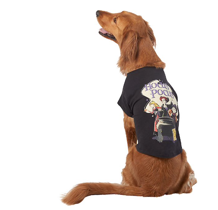 PetSmart Just Released An Entire 'Hocus Pocus' Line For Your Pet