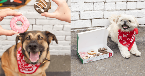 Krispy Kreme Is Releasing Doggie Doughnuts and My Pup and I Are So There