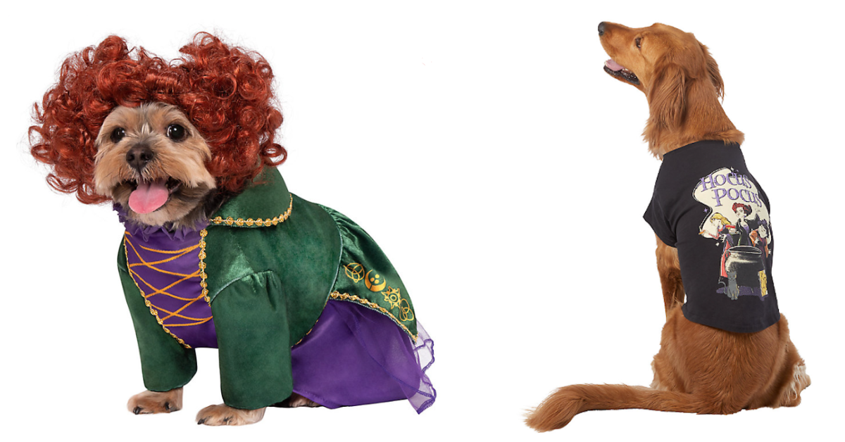PetSmart Just Released An Entire ‘Hocus Pocus’ Line For Your Pet and It is Glorious