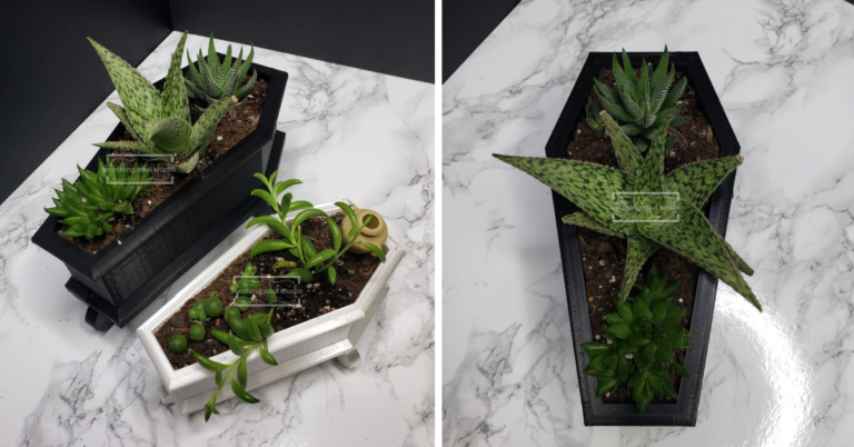 These Coffin Planters Are The Perfect Way to Showcase Your Plants for Spooky Season