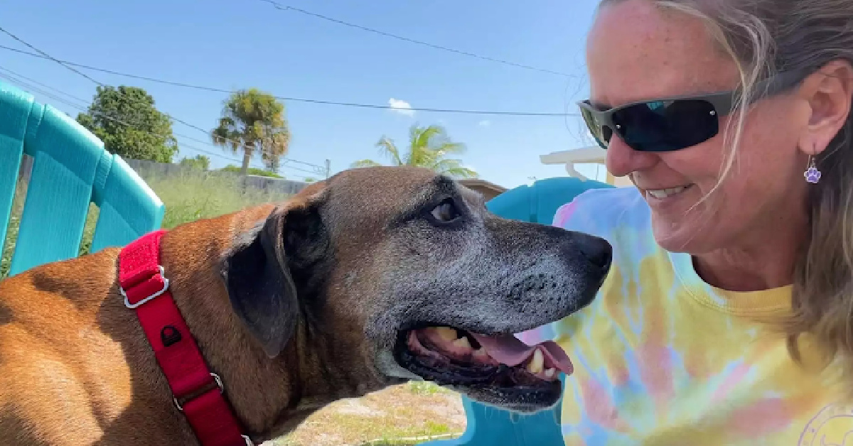 This Dog Struggled With ‘Stranger Danger’ But After 8 Years In A Shelter, He Found His Fur-Ever Home