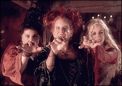 PetSmart Just Released An Entire 'Hocus Pocus' Line For Your Pet and It is  Glorious