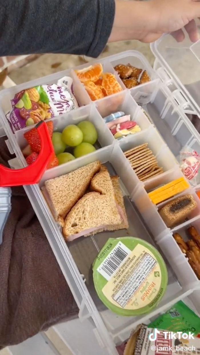 tackle box healthy snack｜TikTok Search