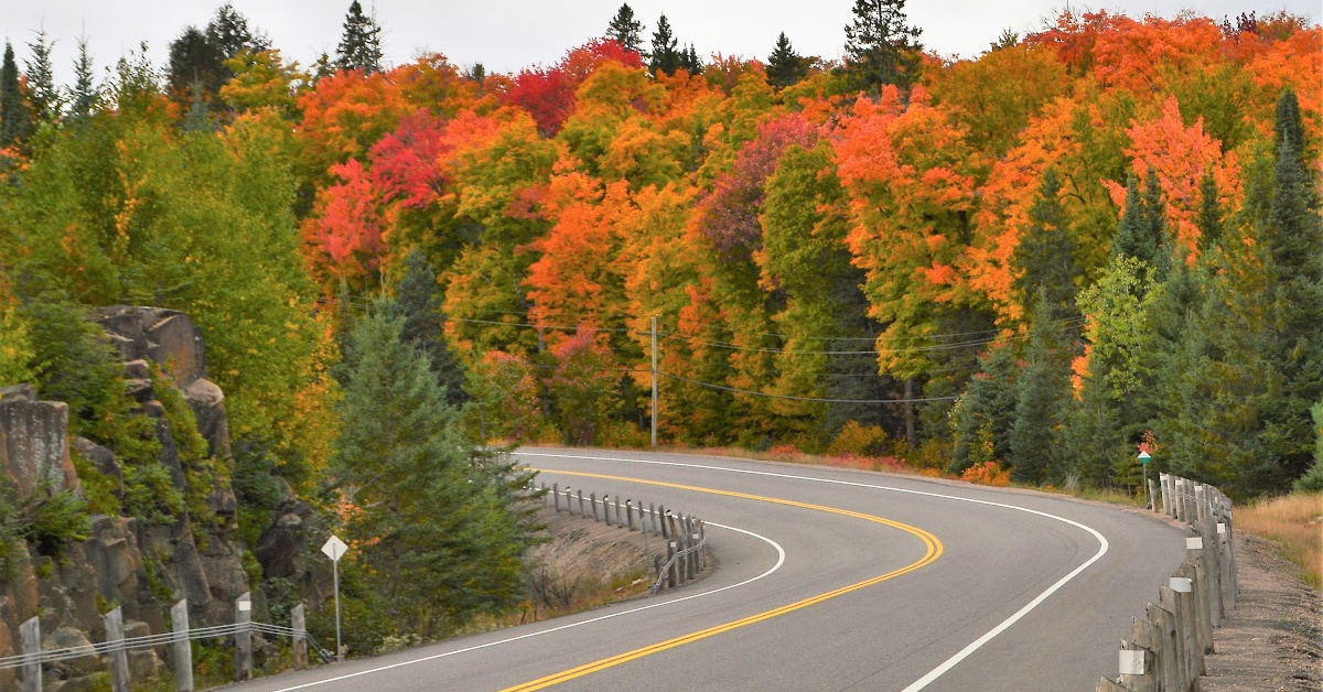Here Are Several States to Visit To Get Your Fall Foliage Fix