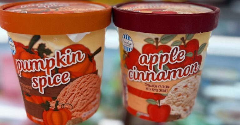 Aldi is Selling Limited Edition Fall Ice Cream In Pumpkin Spice And Apple Cinnamon and I’m On My Way