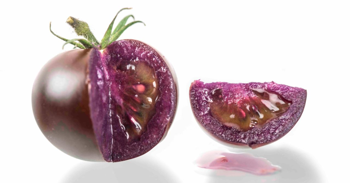 GMO Purple Tomatoes May Be Coming To Stores, But Why?