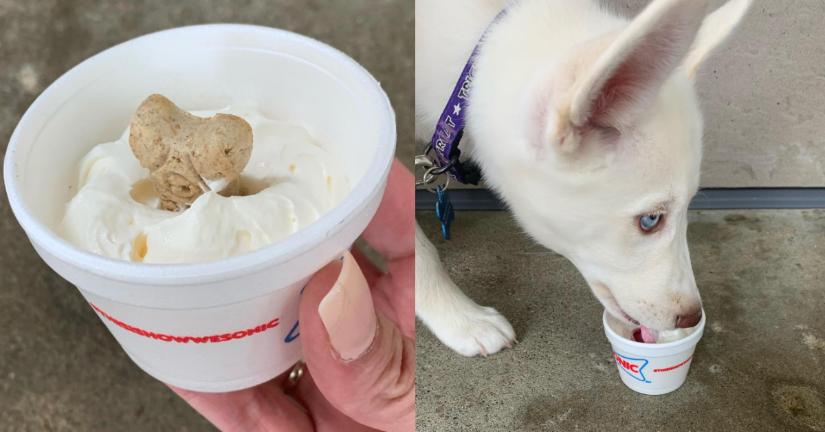 SONIC Has A Secret Pup Cup. Here’s How You Can Order One for Free.