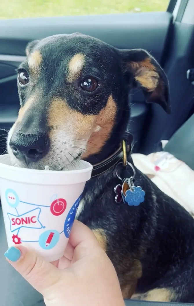 SONIC Has A Secret Pup Cup. Here's How You Can Order One for Free.