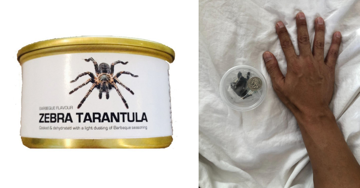 You Can Get An Edible Dehydrated Zebra Tarantula in a Can and I Wish I Was Kidding