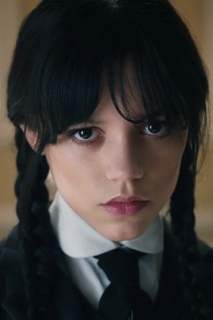 Season 2 of 'Wednesday' Could Include More of the Addams Family. Here's ...