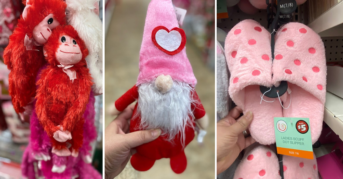Dollar Tree Dropped Their Valentine’s Day Collection and You’re Going to Fall In Love