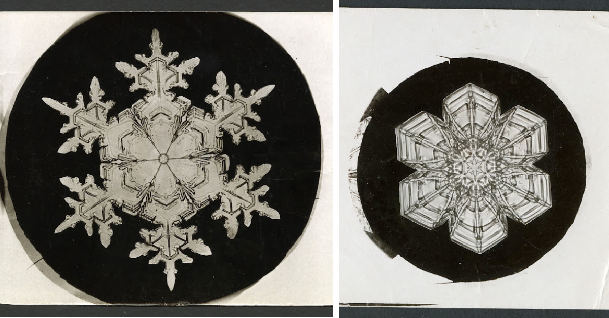 This Man’s Photos Prove No Two Snowflakes Are The Same And It Is Mesmerizing