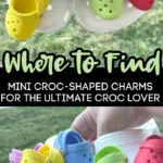 You Can Get Mini Croc Shaped Croc Charms To Become The Ultimate Croc  Enthusiast