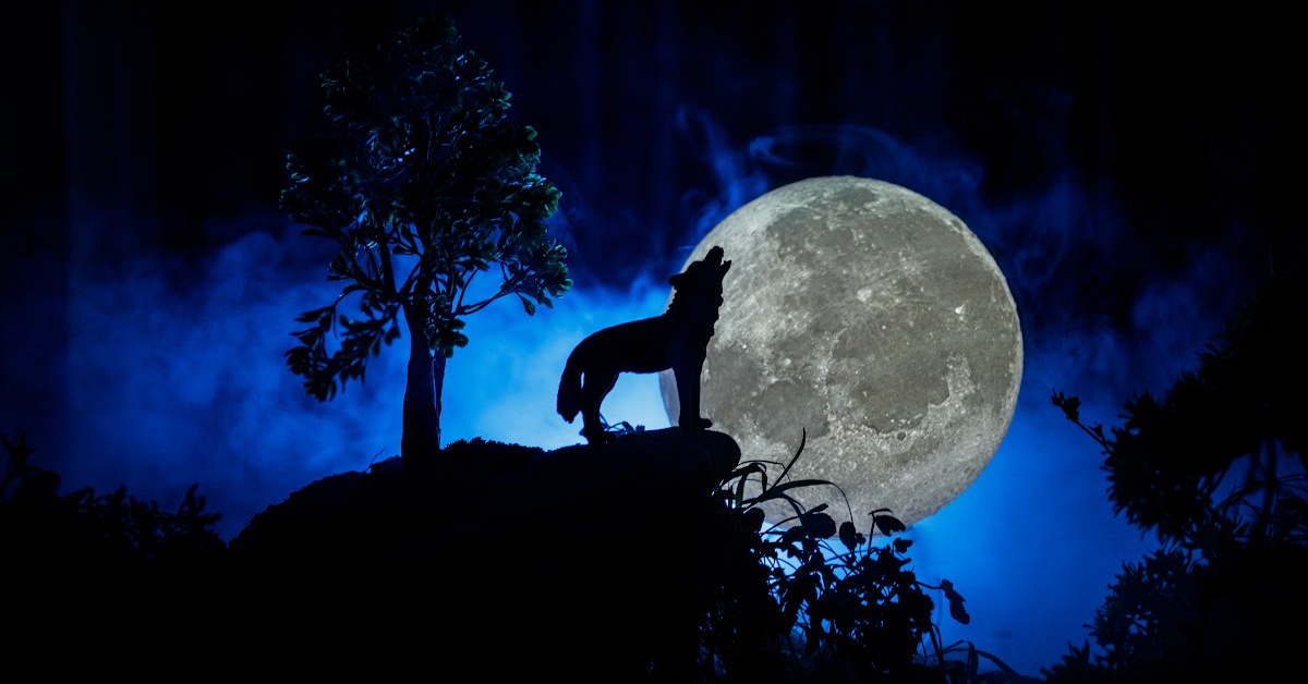 Here’s When You’ll Be Able to View The Wolf Moon Which Is Also the First Full Moon of the Year