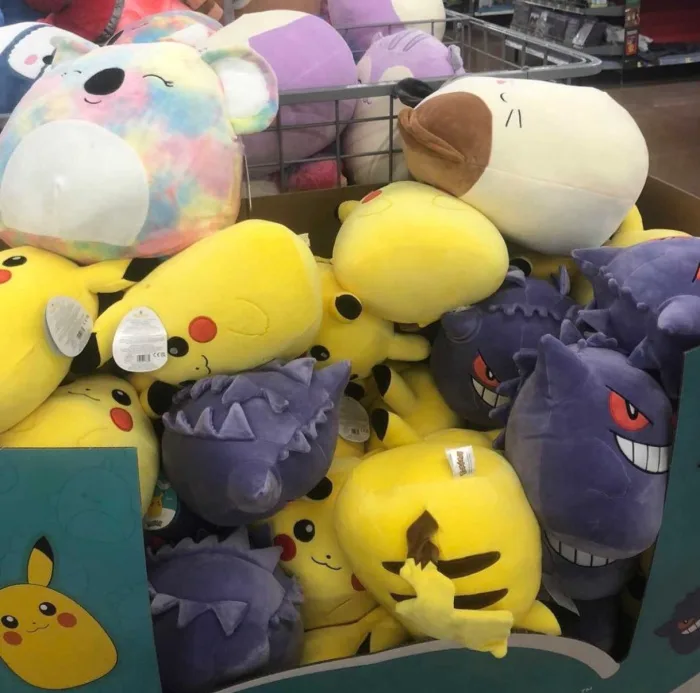 Is the Pokémon craze no longer a thing? : r/squishmallow