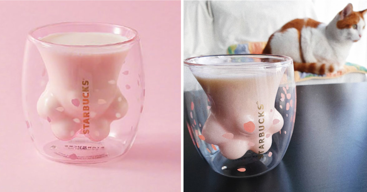 This Limited-Edition Starbucks Cat Paw Cup Is So Popular, People Were Actually Fighting Over it In Store