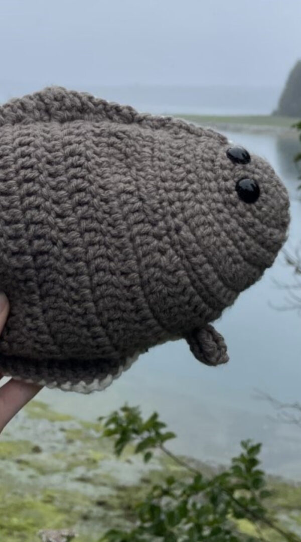 You Can Get A Free Pattern To Crochet This Pacific Halibut Fish And It