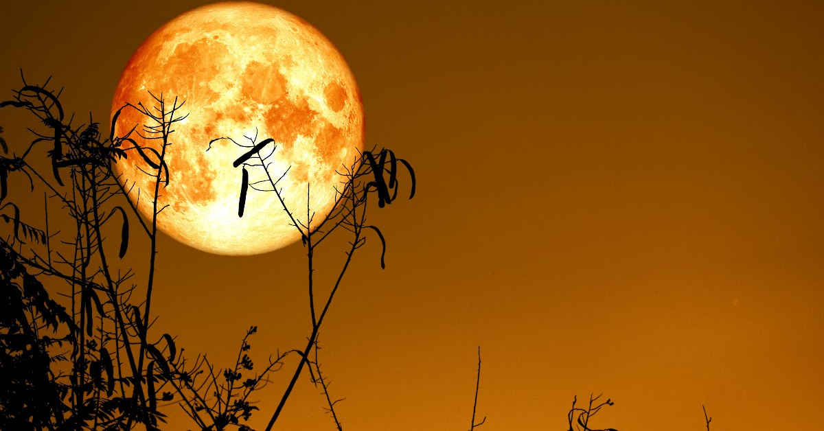 Here’s When You’ll Be Able to View March’s Full Worm Moon