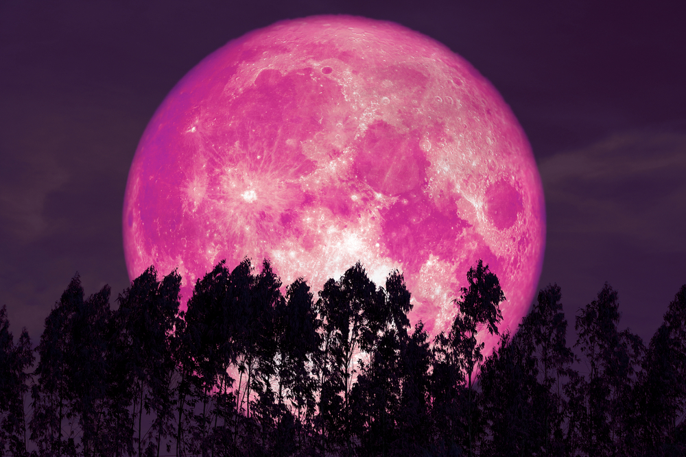 You’ll Soon Be Able To See April’s Pink Full Moon. Here’s How.