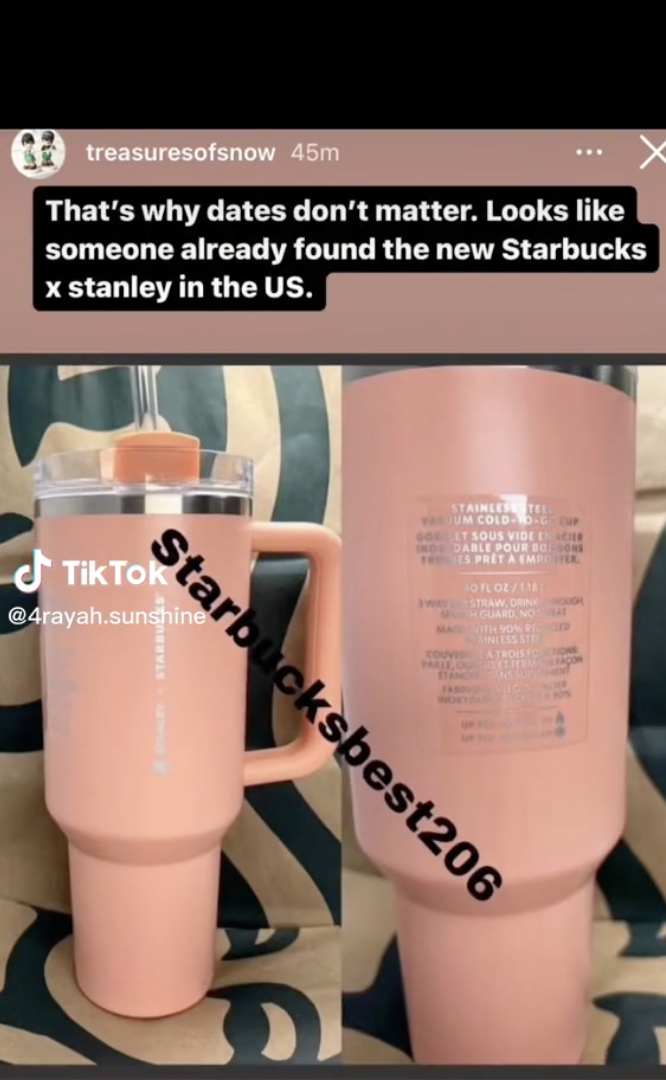 PRE ORDER 2023 Starbucks X Stanley Taiwan Valentine's Day Pink Baby Po