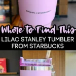 lilac stanley cup target｜TikTok Search