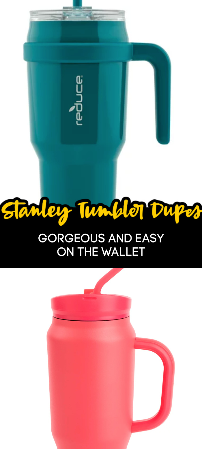 These Stanley Tumbler Dupes Look Identical And Are Nearly Half The Cost