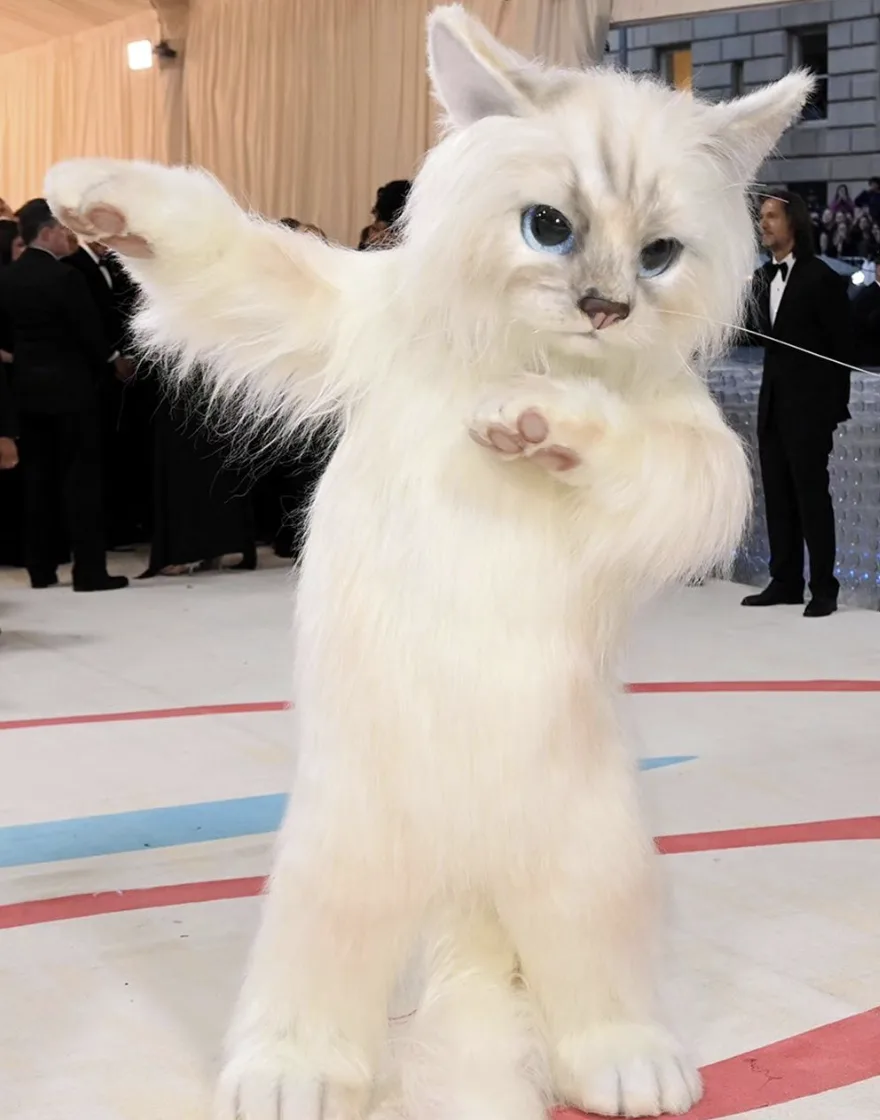 Doja Cat and Jared Leto dressed like Choupette the cat for the Met Gala