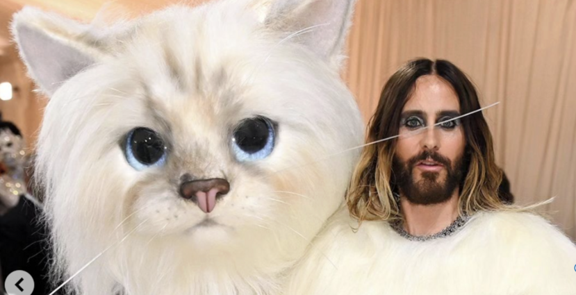Jared Leto Wins The Met Gala After Showing Up Dressed as a Giant Cat