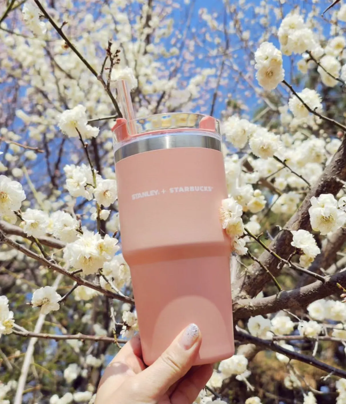 Stanley Tumblers Are Back in Stock on  – LifeSavvy