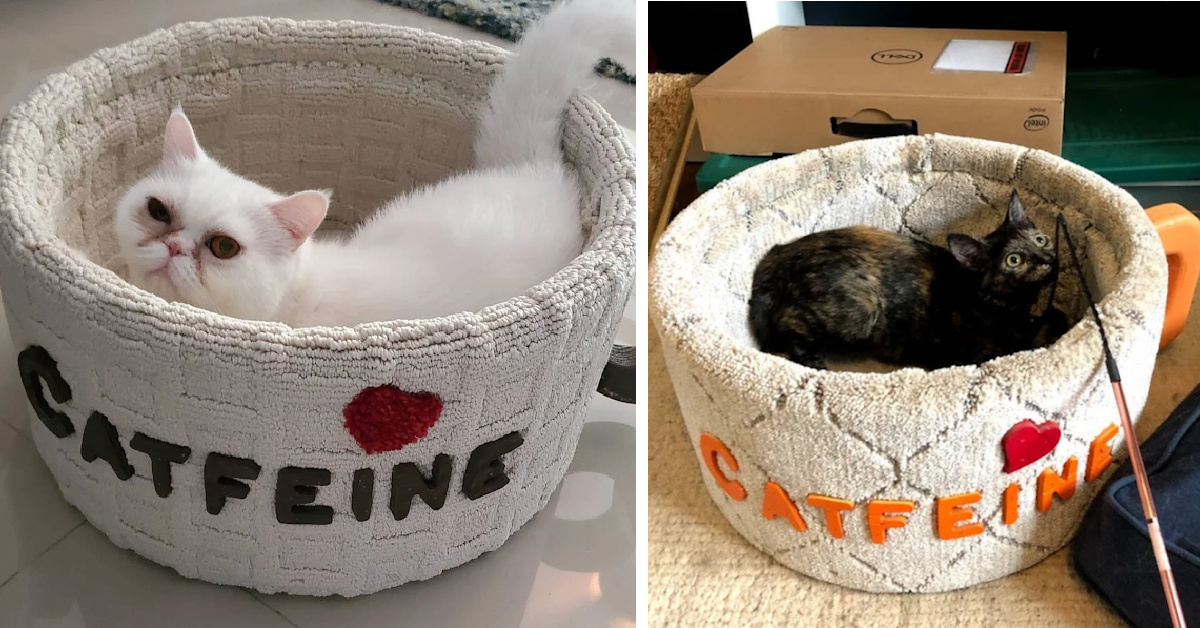 You Can Get A Cat Bed That Looks Like A Mug Of Coffee And It’s Adorable