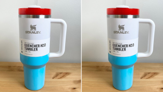 Stanley Tumbler Dupes Just Dropped at Aldi & They're Under $10