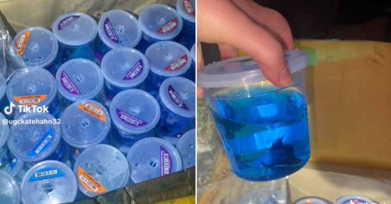 This Woman Found Dozens of Live Fish in the Garbage After Dumpster Diving at PetSmart