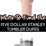 Stanley Dupe Cup Deal - Hydraquench for only $5.55 - Money Saving Mom®