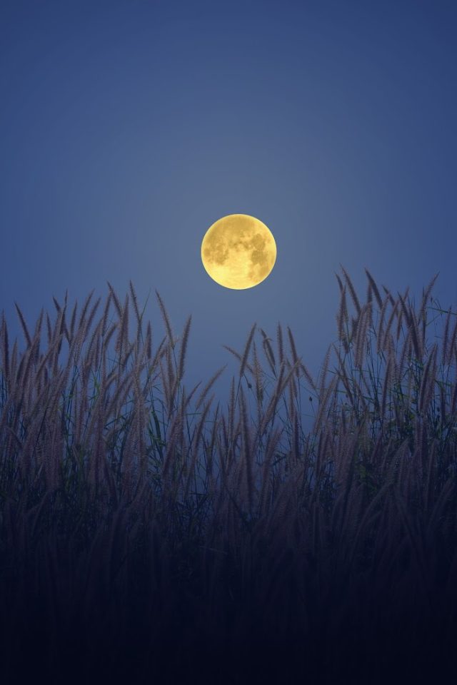 May's Full Flower Moon Rises Soon. Here's When You Can See It.