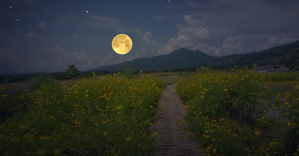 May’s Full Flower Moon Rises Soon. Here’s When You Can See It.