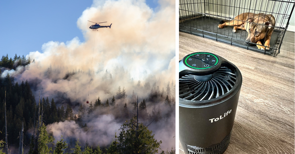 This $42 Air Purifier Will Help Keep The Smoke Out of Your Home from All of Those Wildfires