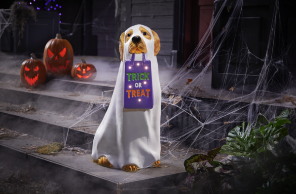 Everything You Need to Know About The Home Depot Halloween Release 2023